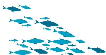 Obrazek przedstawiający ryby