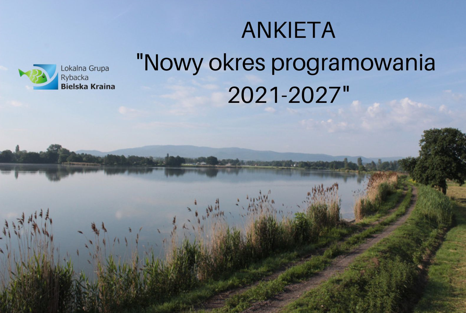 Zdjęcie stawów Zdjęcie stawów